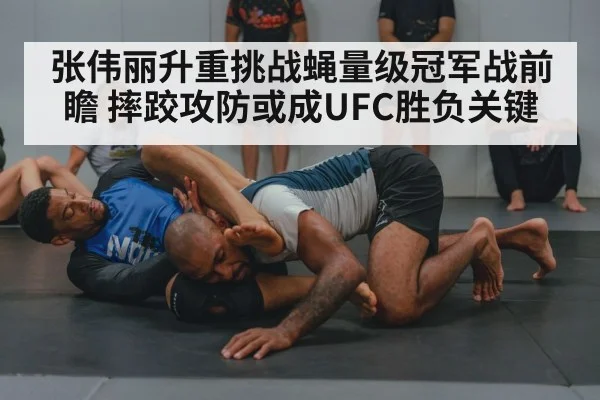wrestling grapple training
